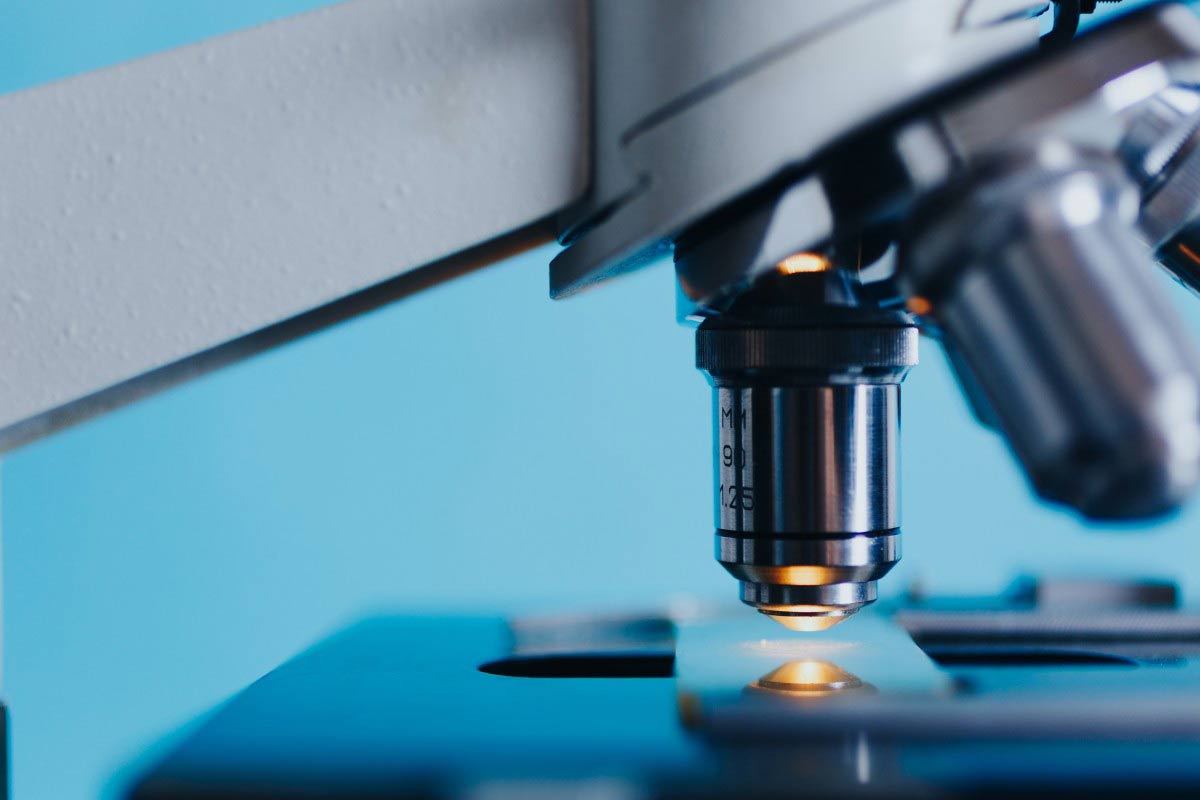 35 Interesting Facts about Microscopes You Must Be Aware Of INVENTgen